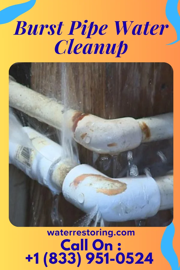Burst Pipe Water Cleanup in El Dorado, KS