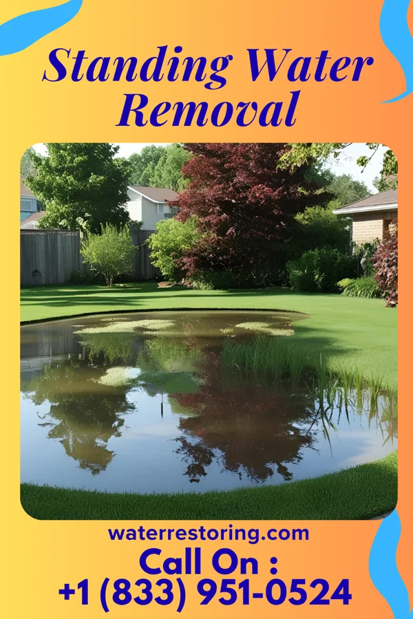 Standing Water Removal in El Dorado, KS